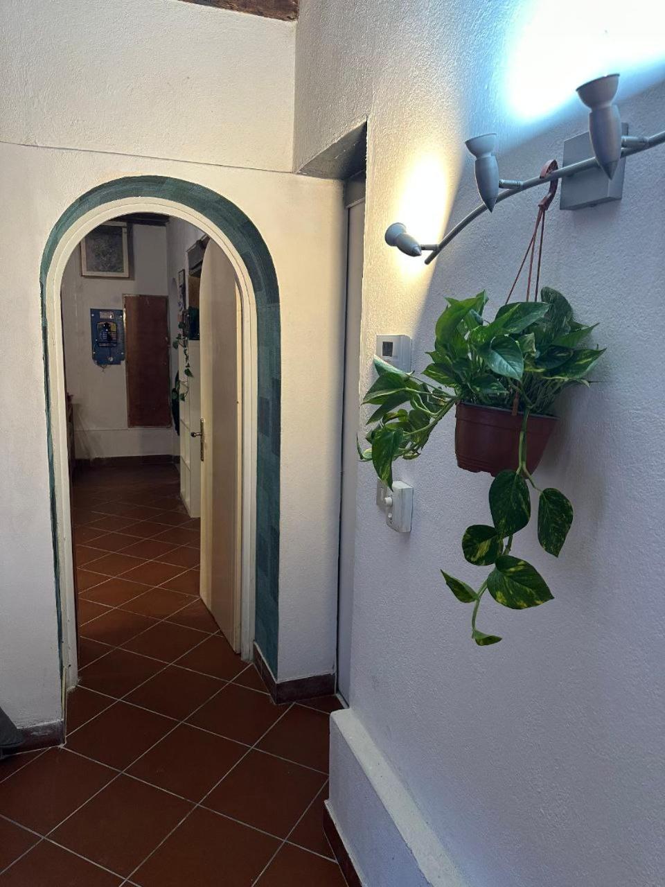 Apartamento Venus Venecia